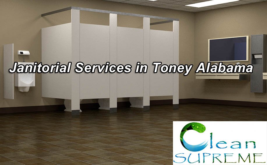 Janitorial Services in Toney Alabama - Bathroom